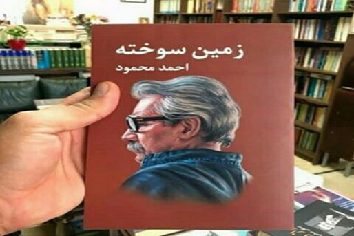 Выжженная земля