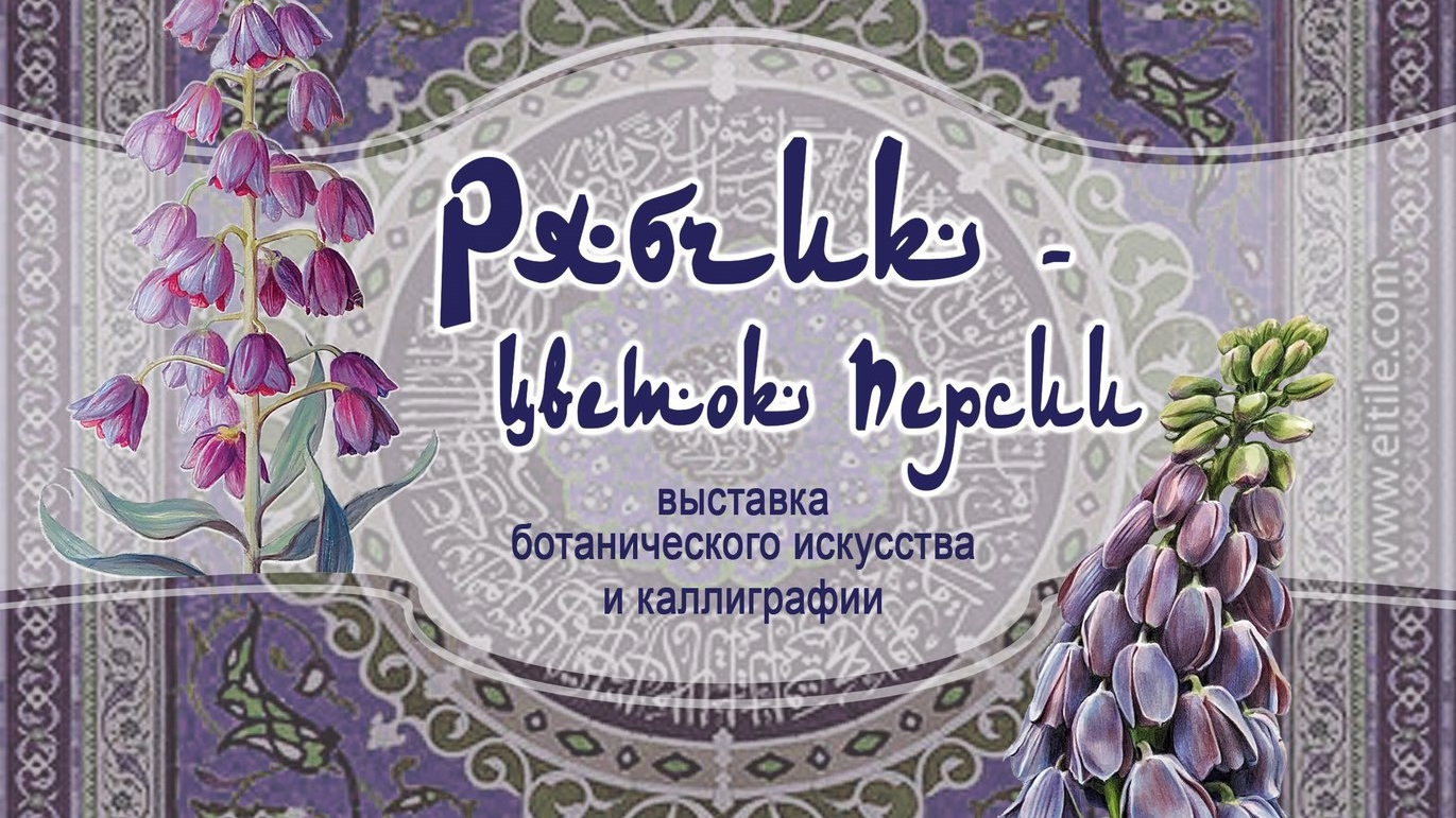 Слезы Сияваша и цветок Персии: выставка ботанического искусства и каллиграфии открылась в саду МГУ